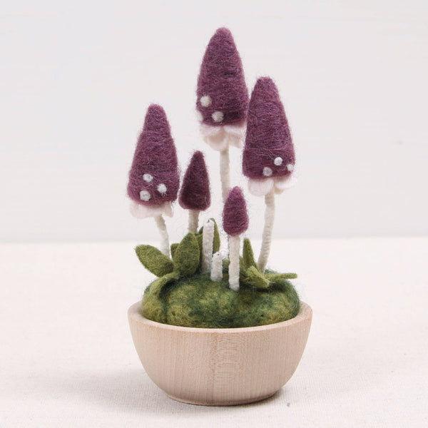 Pixie Parasol Mushrooms Needle Felting Kit