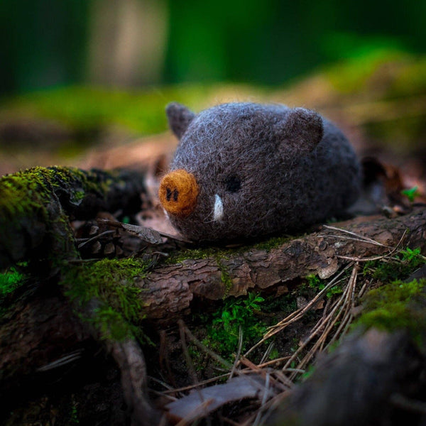 Boar Needle Felting Kit