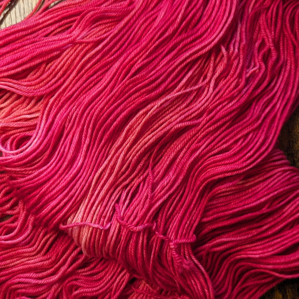 Life - Hand-Dyed Merino Yarn - Briar Patch Fibre Co
