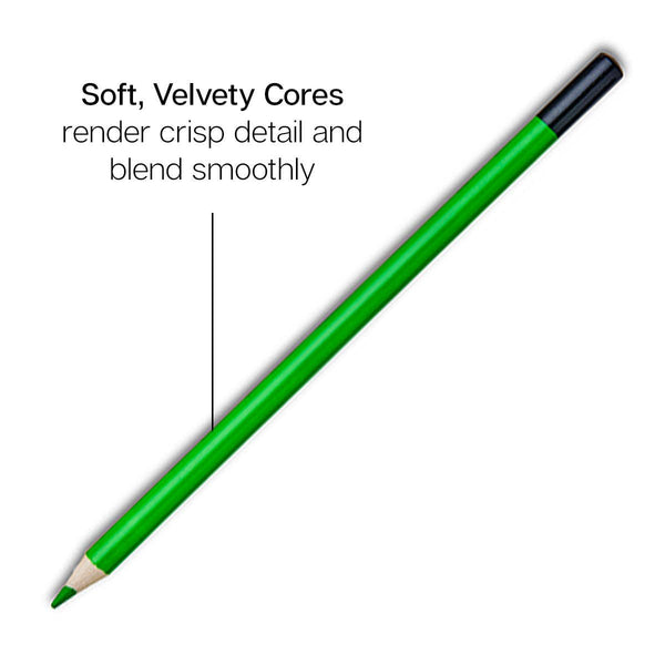 Colored Pencils - 12 Neon Colors