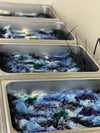 Fen Yarn | The Creature Collection