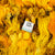 Sunflower Yarn | The Botanical Collection
