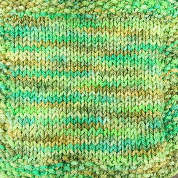 Succulent Yarn | The Botanical Collection