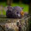 Boar Needle Felting Kit