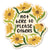 Not Here to Please Others - Snarky Daisy Flower Sticker