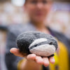 Badger Needle Felting Kit
