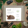 Boar Needle Felting Kit