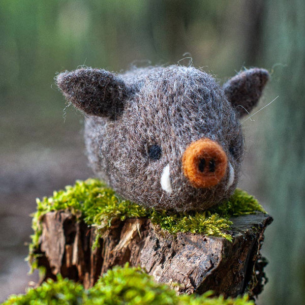 Boar Needle Felting Kit