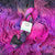 Black Dahlia | The Botanical Collection