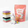 Unicorn Clay Crafting Kit