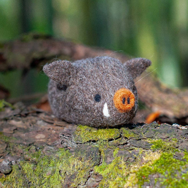 Boar Needle Felting Kit
