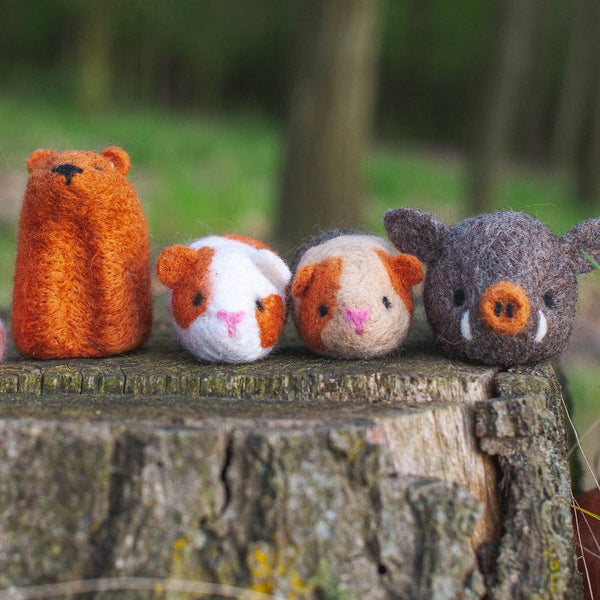 Boar Needle Felting Kit
