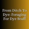 From Ditch to Dye: Forging for Dye Stuff | July 18 | 1pm to 4pm