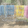 Color in the Chaos: An Introduction to Natural Dyeing | June 14 at 5pm