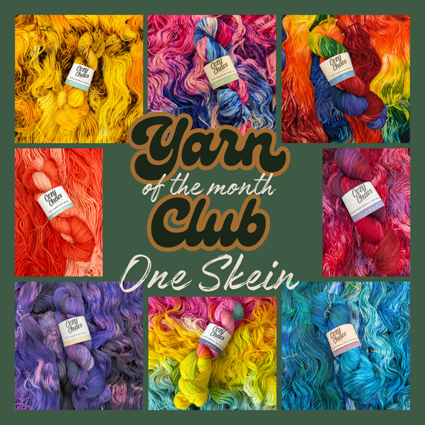 Yarn of the Month Club | One Skein Membership