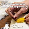 Chicken Needle Felting Kit – Beginner DIY Wool Craft Gift