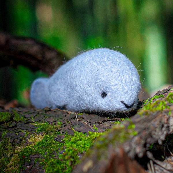 Seal Needle Felting Kit