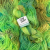Succulent Yarn | The Botanical Collection