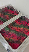 Wild Poppy | The Botanical Collection